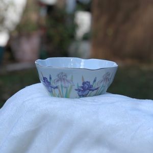 Iris Japan porcelain China bowl